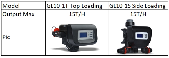 GL10-1 Filter Valve